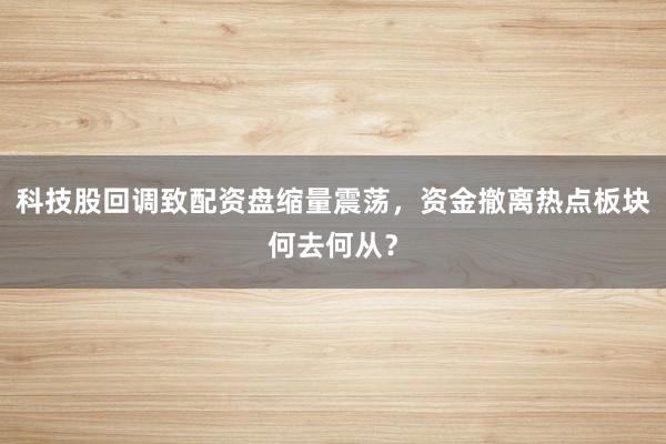科技股回调致配资盘缩量震荡，资金撤离热点板块何去何从？